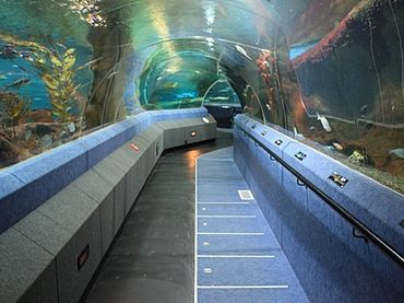 Travelator